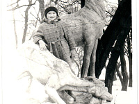 Администрация Твери запустила голосование по фотоконкурсу «Мой Горсад»